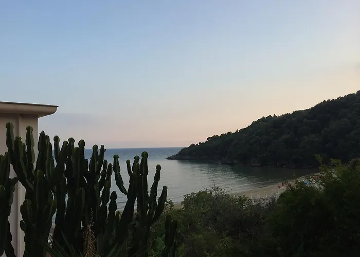 酒店 莎米特酒店